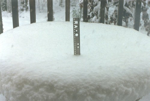 A ruler stands upright in a thick layer of freshly fallen snow on a table, with a snowy landscape in the background.