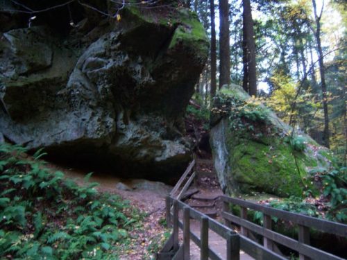 A forest path with large moss-covered rocks and wooden steps surrounded by lush greenery.