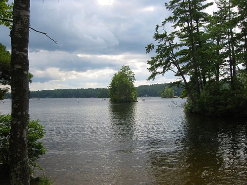 A serene lake scene with an island, surrounded by trees and cloudy skies, reflecting calm waters.
