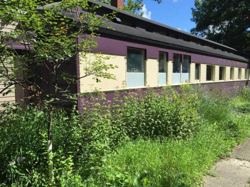 Abandoned building partially covered by overgrown grass and plants, with purple and beige walls under a clear blue sky.