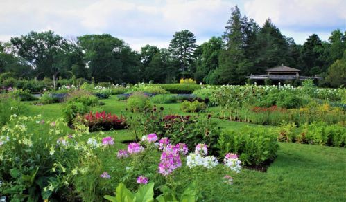 A vibrant garden filled with colorful flowers and lush greenery under a partly cloudy sky.