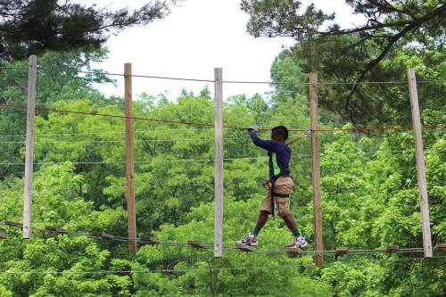A child navigates a high ropes course, balancing on a narrow beam surrounded by lush green trees.