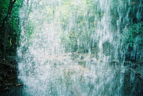 A cascading waterfall surrounded by lush green trees, creating a misty atmosphere.