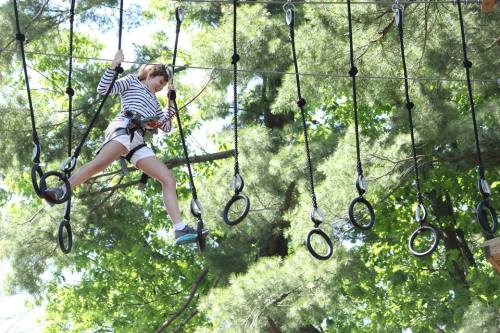 A child navigates an outdoor ropes course, balancing on rings suspended from above, surrounded by trees.