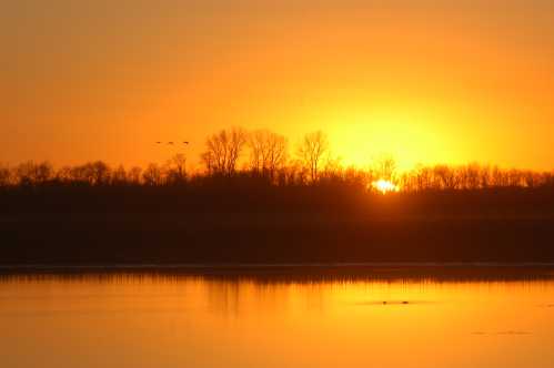 Sunset over a calm lake, with silhouettes of trees and birds flying in the orange sky.