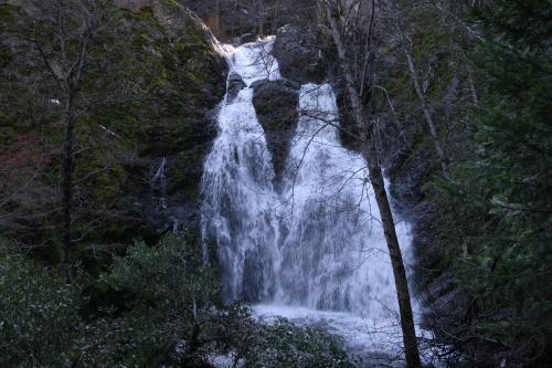 A serene waterfall cascading down rocky terrain, surrounded by lush greenery and trees.