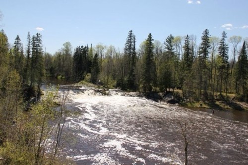 A scenic view of a river with rapids, surrounded by lush green trees and a clear blue sky.