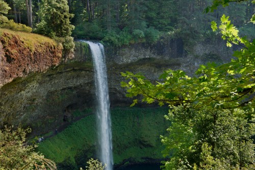 A stunning waterfall cascades down a rocky cliff, surrounded by lush green trees and vibrant foliage.