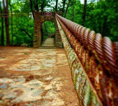 A close-up of a rusted cable leading to a stone archway bridge surrounded by lush green trees.