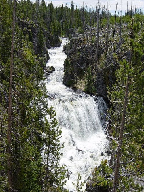 A cascading waterfall flows through a rocky landscape, surrounded by lush green trees and a clear blue sky.