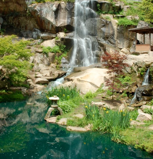 A serene waterfall cascades over rocks into a tranquil pond, surrounded by lush greenery and blooming flowers.