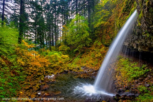 A serene waterfall cascades into a tranquil pool, surrounded by lush greenery and autumn foliage.