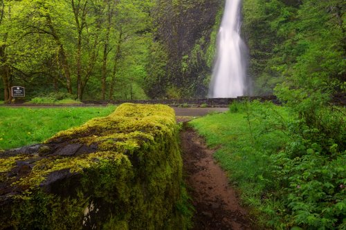 A lush green landscape featuring a moss-covered stone wall and a waterfall cascading in the background.