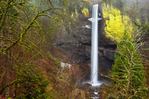 A serene waterfall cascades down rocky cliffs, surrounded by lush green trees and misty fog.