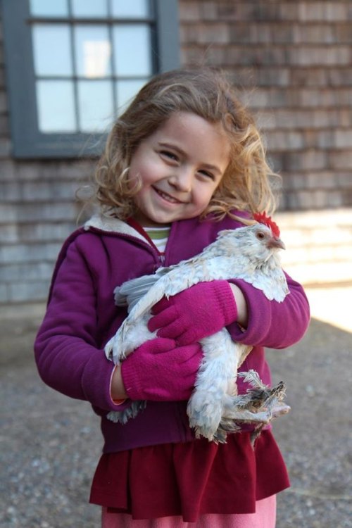A smiling girl in a purple sweater holds a white chicken, standing outside near a wooden building.
