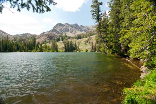 A serene lake surrounded by lush trees and mountains under a clear blue sky.