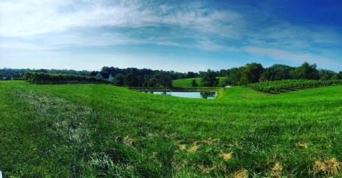 A panoramic view of lush green fields, a serene pond, and blue skies with scattered clouds.