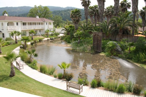 A serene pond surrounded by palm trees and greenery, with benches and a building in the background.