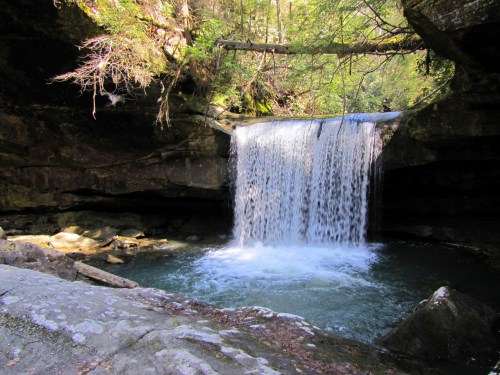 A serene waterfall cascades into a clear pool, surrounded by lush greenery and rocky terrain.