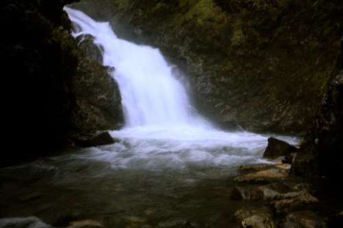 A cascading waterfall flows into a rocky pool, surrounded by lush greenery and misty air.