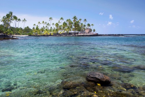 A clear turquoise sea with rocky shorelines and palm trees in the background under a bright blue sky.