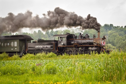 A vintage steam locomotive billows black smoke while pulling a green passenger car through a lush, green landscape.
