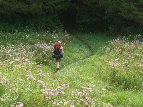 A hiker with a backpack walks along a grassy path surrounded by wildflowers and trees.