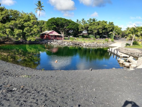 A serene pond surrounded by greenery and a red building, with a person swimming in the water under a blue sky.