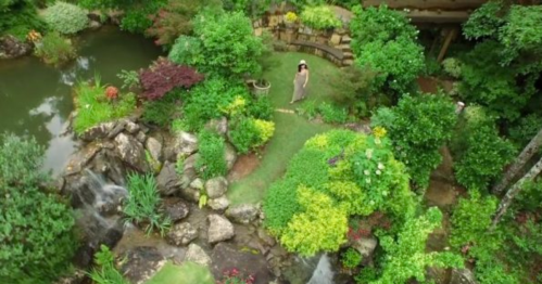 Aerial view of a lush garden with a woman standing amidst vibrant greenery and a small pond with waterfalls.