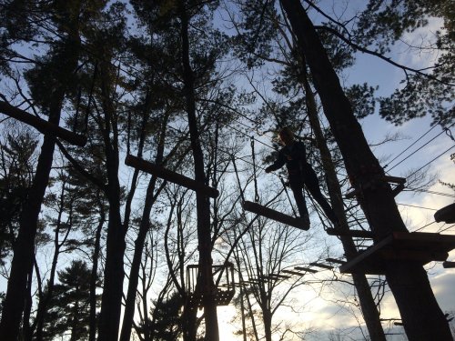 A person navigates a high ropes course among tall trees at sunset, with wooden beams and safety harnesses visible.