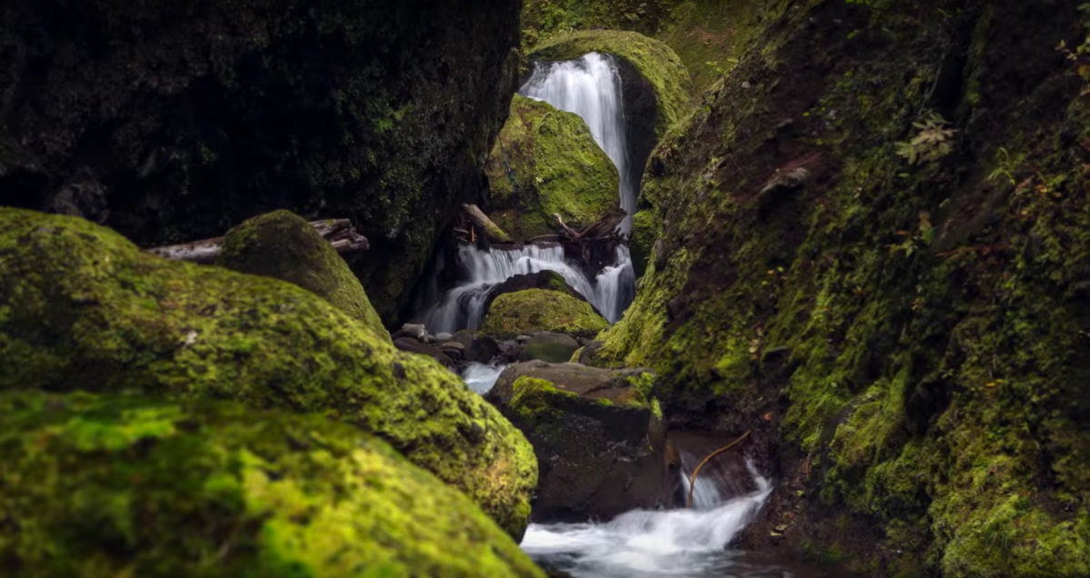 This Recently Discovered Secret Canyon In Oregon Is Amazing