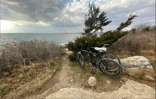 A black bicycle rests near a rocky path overlooking a cloudy ocean view, surrounded by sparse vegetation.