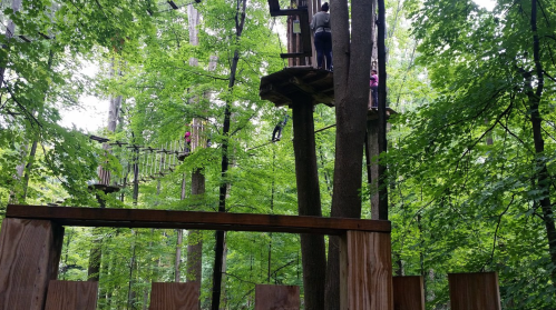 People navigating a treetop obstacle course among lush green trees.