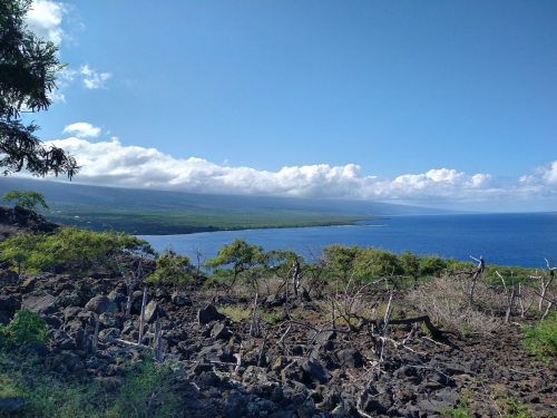 Scenic view of a coastal landscape with lush greenery, rocky terrain, and distant mountains under a blue sky.