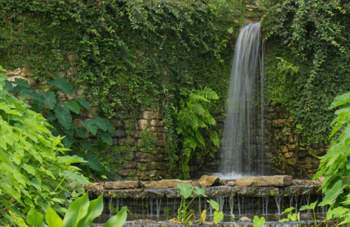 A serene waterfall cascading over stones, surrounded by lush green foliage and vibrant plants.