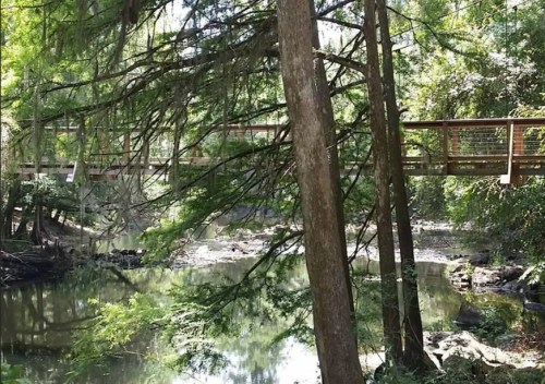 A serene forest scene featuring a wooden bridge over a calm river, surrounded by lush greenery and trees.