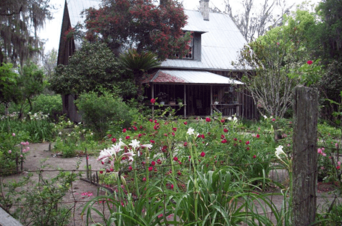 A charming old house surrounded by a vibrant garden filled with colorful flowers and lush greenery.