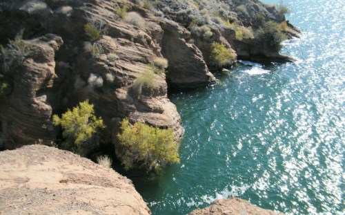Rocky shoreline with green shrubs and sparkling blue water under sunlight.