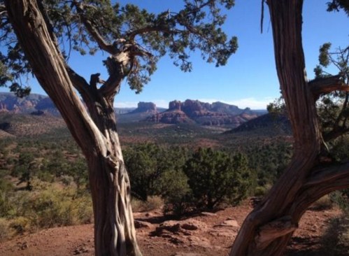 A scenic view of rugged mountains and trees under a clear blue sky, showcasing the beauty of a desert landscape.