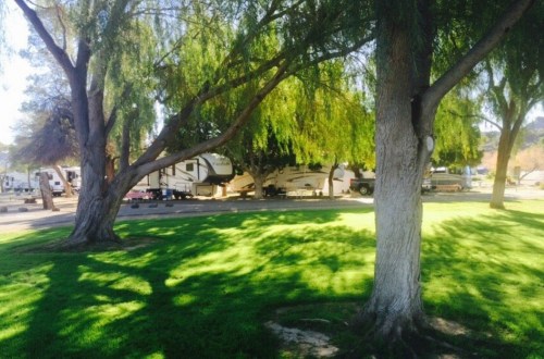 A sunny campsite with RVs parked among green grass and trees, creating a peaceful outdoor setting.
