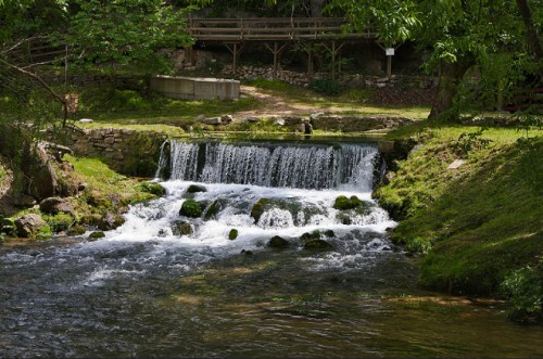 A serene stream flows over a small waterfall, surrounded by lush greenery and a wooden walkway in the background.