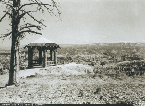 A historic gazebo overlooks the vast landscape of Bryce Canyon, framed by a barren tree and distant rock formations.