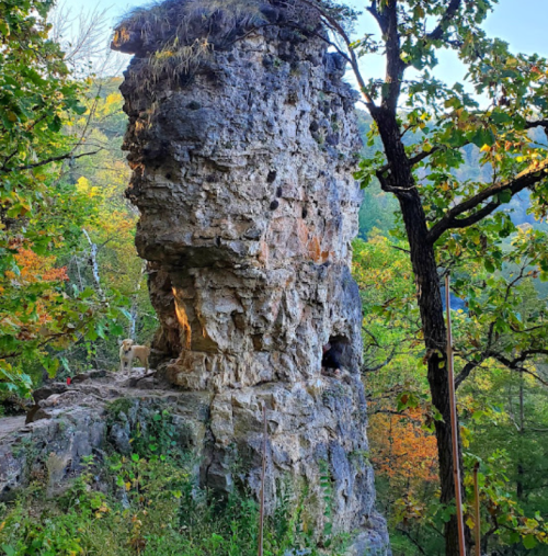 A tall, rocky outcrop surrounded by vibrant green trees and autumn foliage under a clear blue sky.