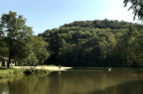 A serene lake surrounded by trees, with a sandy area and people enjoying the outdoors on a sunny day.