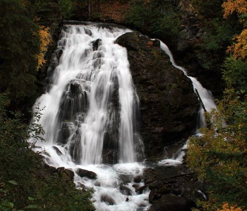 A cascading waterfall surrounded by lush greenery and autumn-colored foliage.