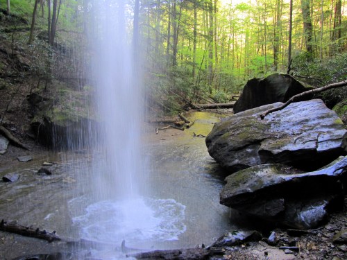 A serene waterfall cascades over rocks in a lush green forest, surrounded by trees and natural beauty.