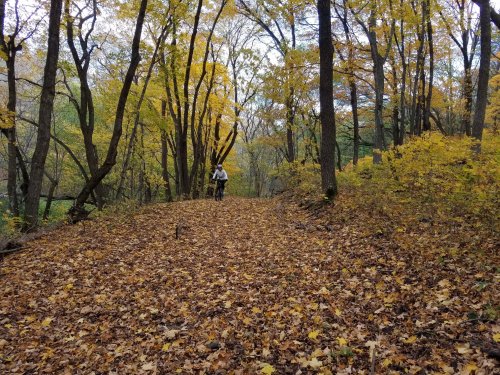 A person walks along a leaf-covered path in a forest with vibrant autumn foliage.