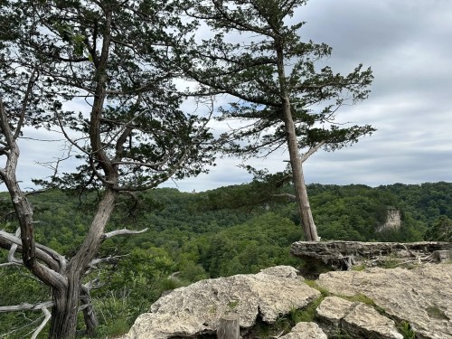 Two trees stand on a rocky outcrop overlooking a lush green valley under a cloudy sky.