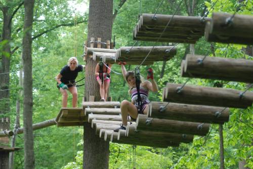 Three people navigate a ropes course among trees, climbing on wooden platforms and balancing on ropes.