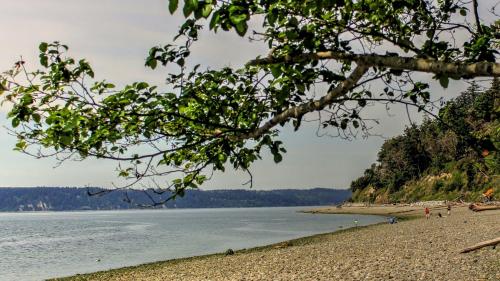 A serene beach scene with a rocky shore, gentle waves, and trees framing the view of the water and distant hills.